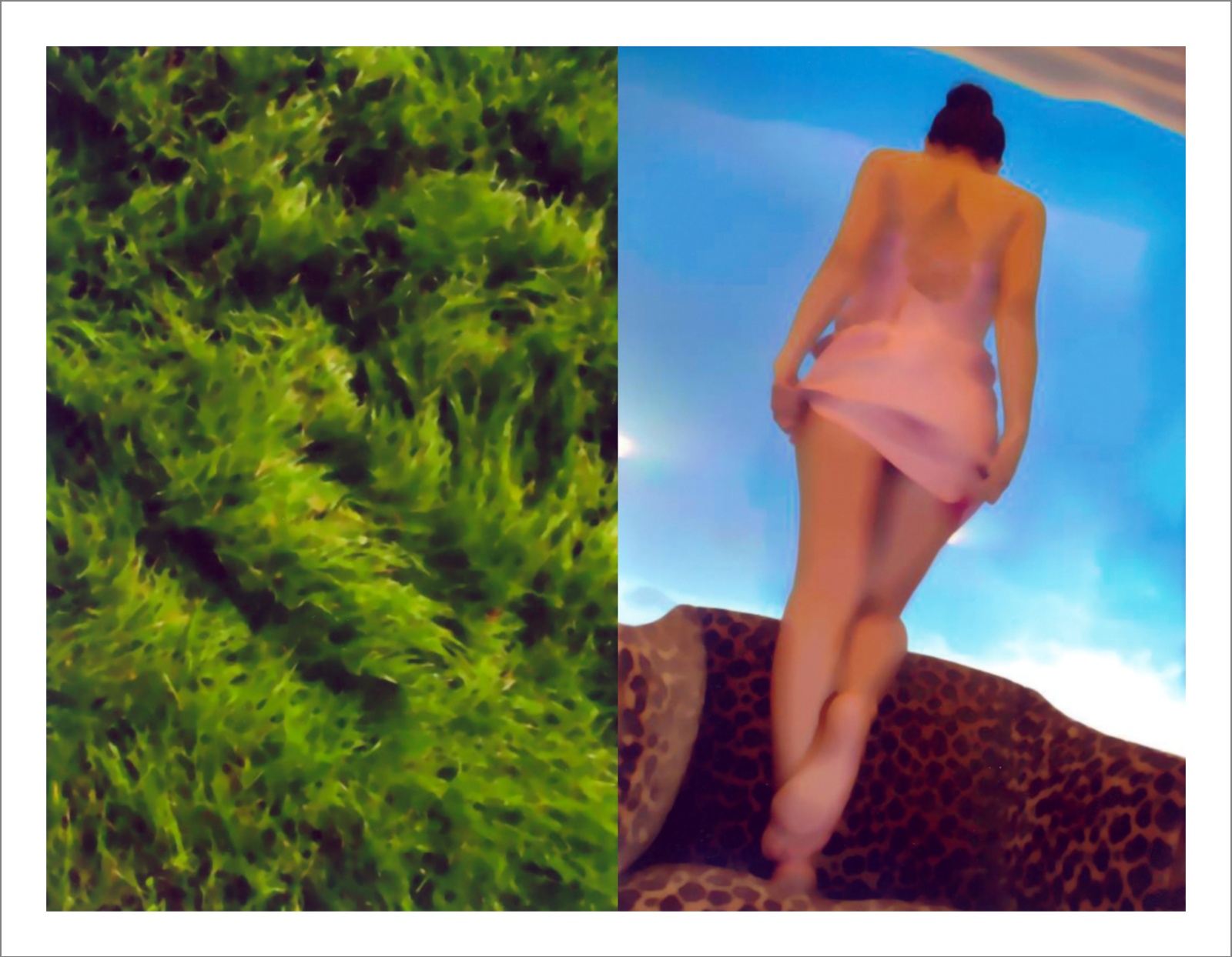 Questioning Photographic Reality - Diptychs 100 x 80 cm - 120 x 50 cm Edition of 5