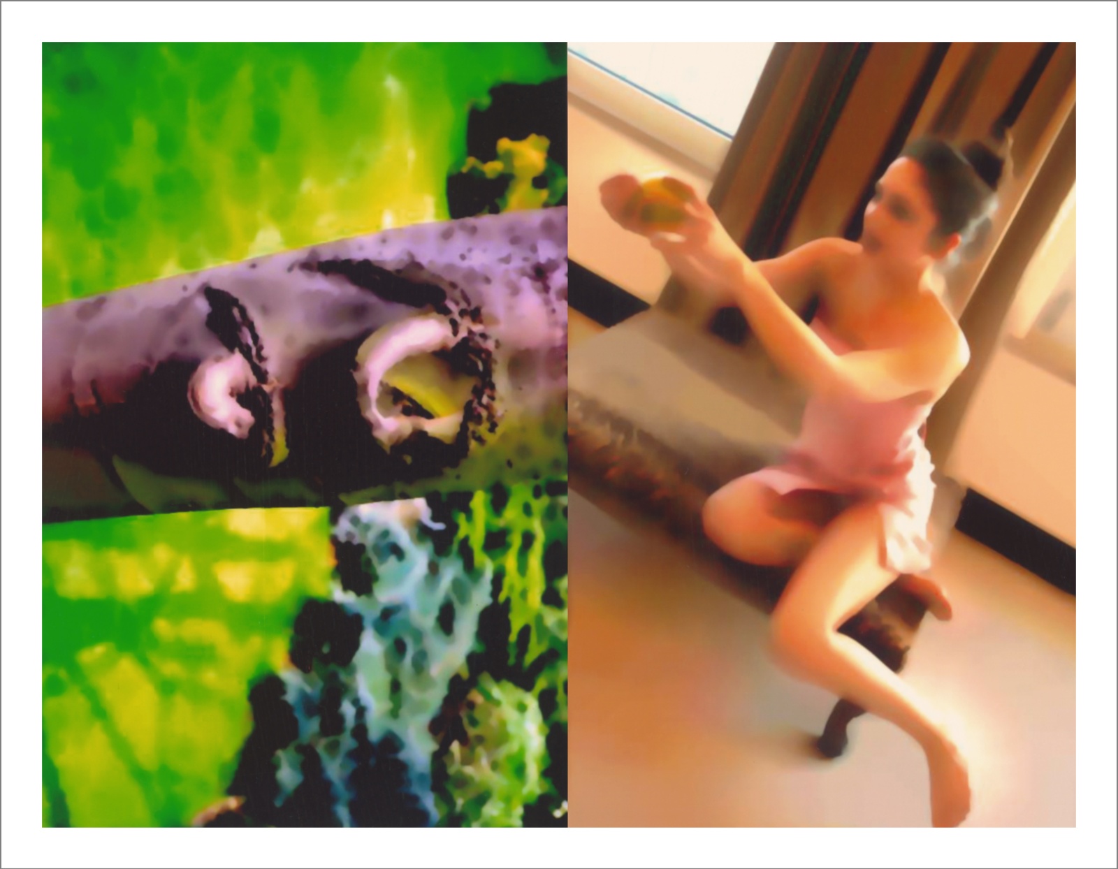 Questioning Photographic Reality - Diptychs 100 x 80 cm - 120 x 50 cm Edition of 5