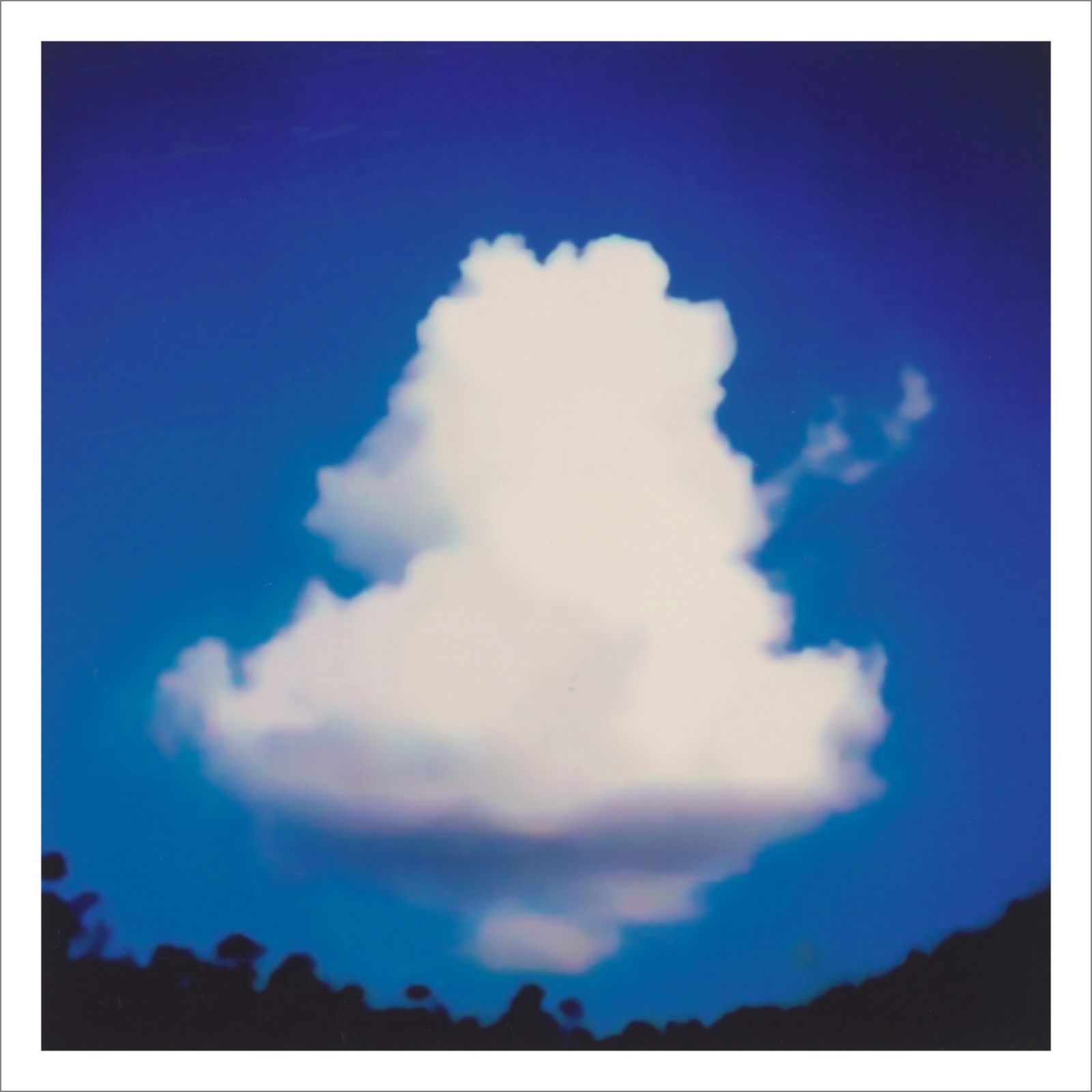 Questioning Photographic Reality - Diptychs 100 x 80 cm - 120 x 50 cm Edition of 5