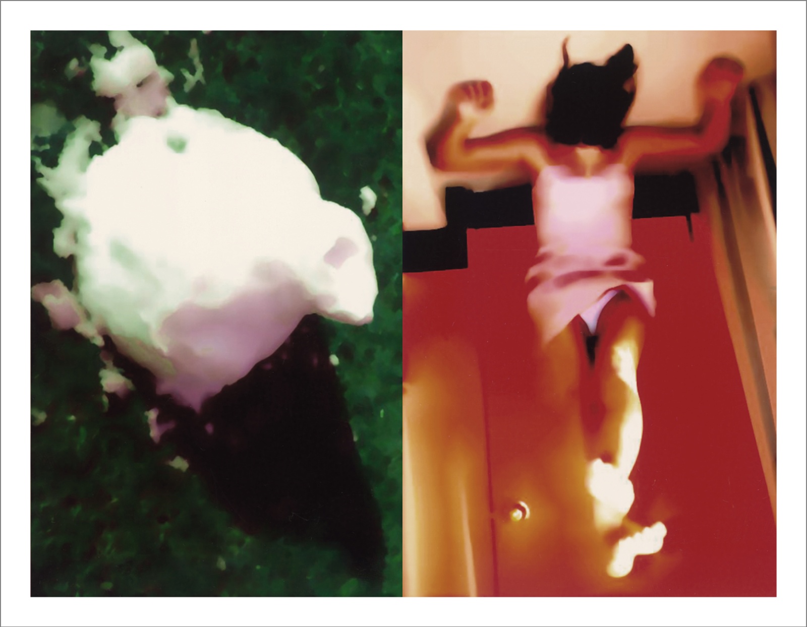 Questioning Photographic Reality - Diptychs 100 x 80 cm - 120 x 50 cm Edition of 5