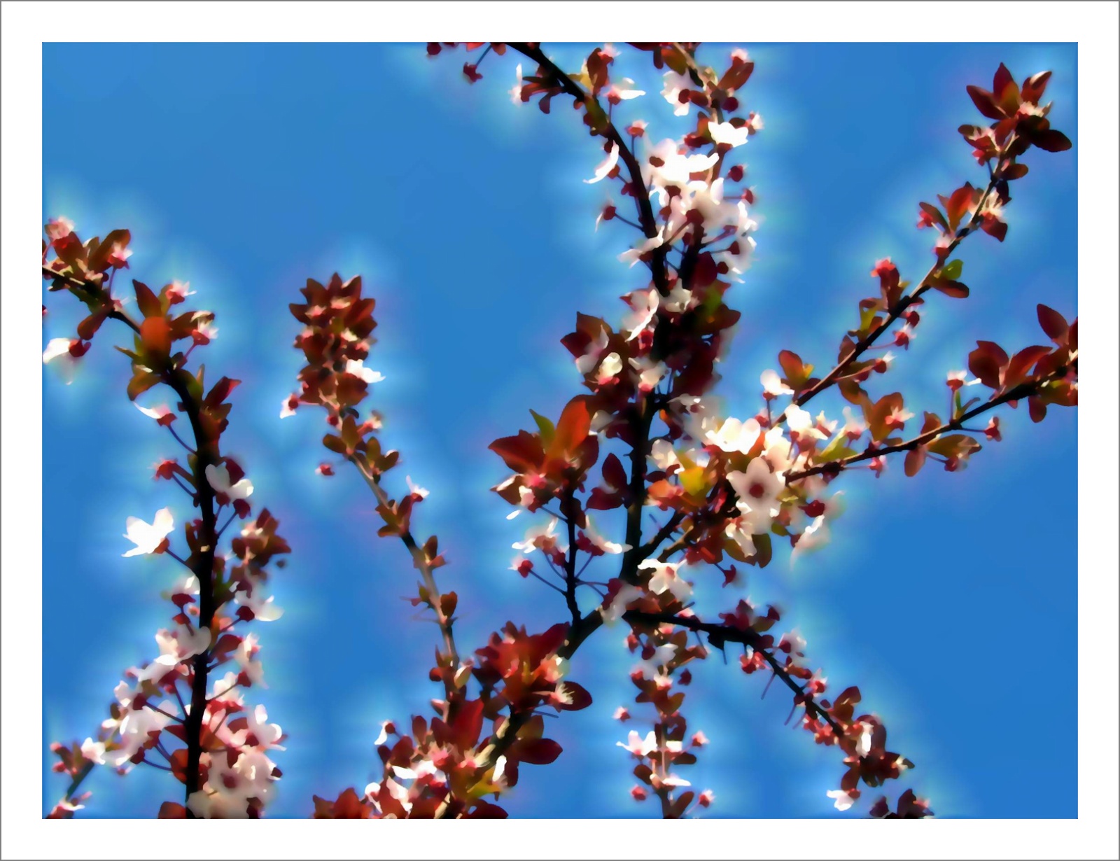 Questioning Photographic Reality - Diptychs 100 x 80 cm - 120 x 50 cm Edition of 5