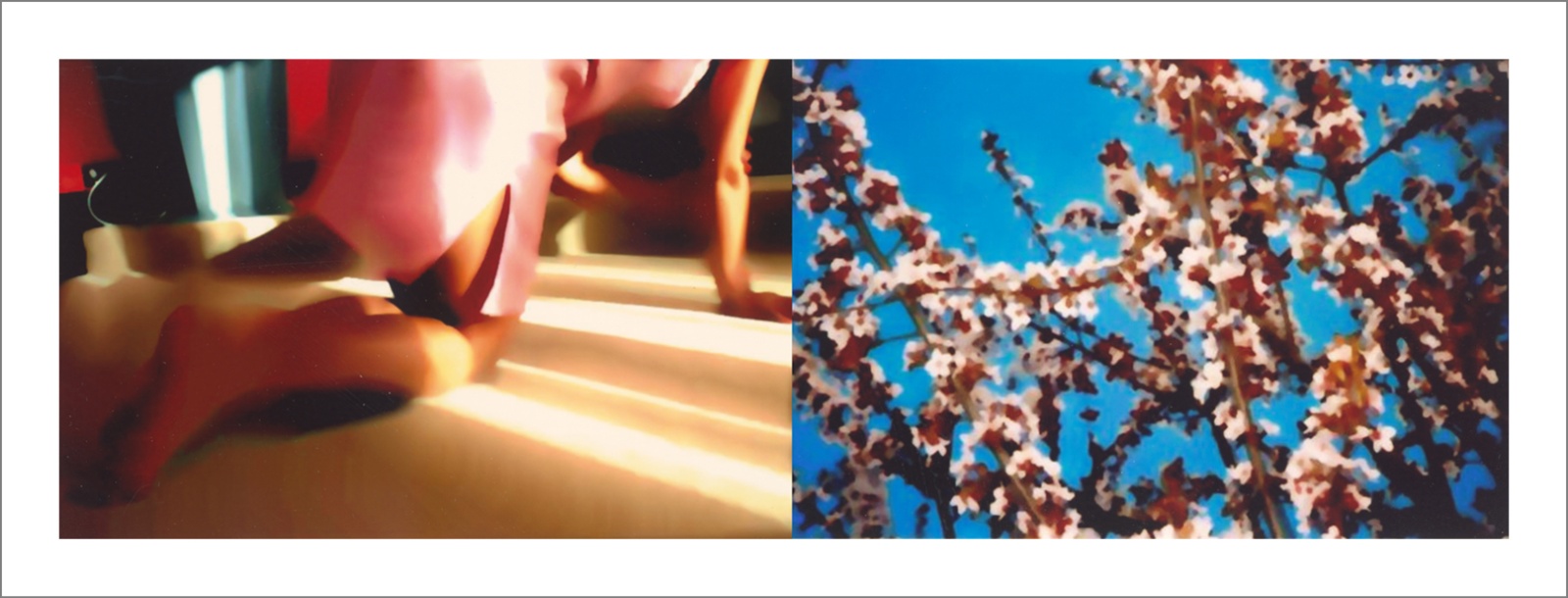 Questioning Photographic Reality - Diptychs 100 x 80 cm - 120 x 50 cm Edition of 5