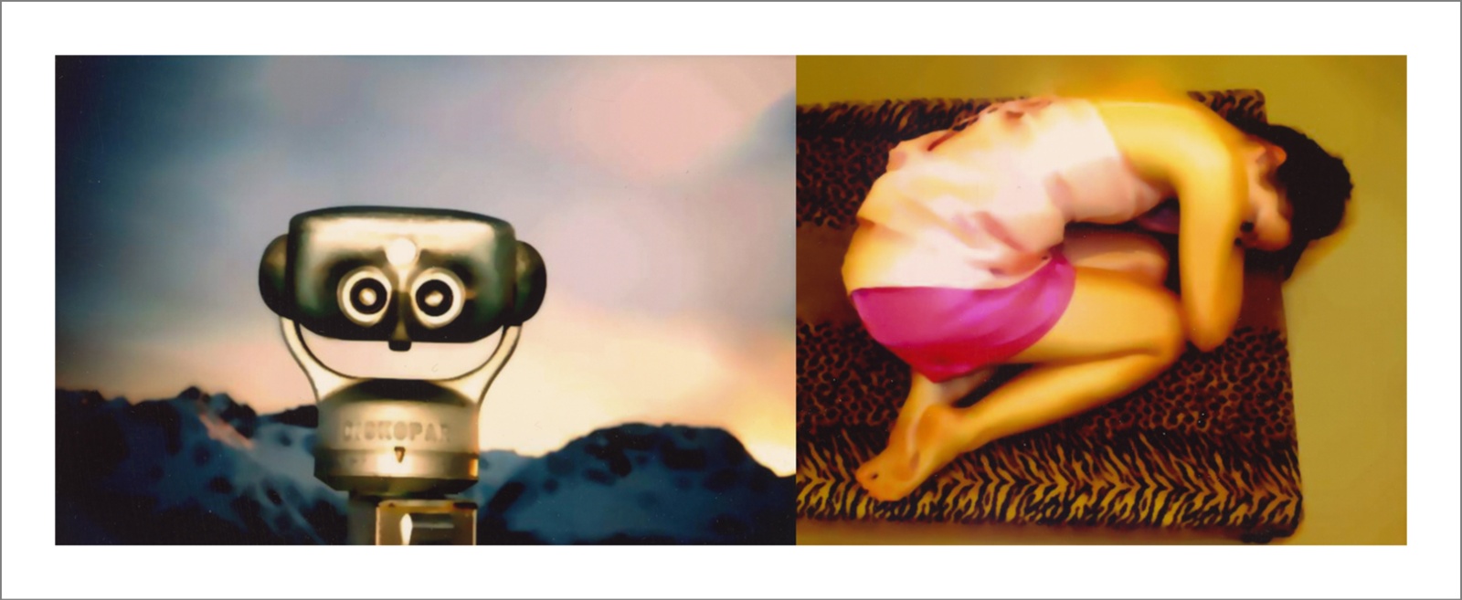 Questioning Photographic Reality - Diptychs 100 x 80 cm - 120 x 50 cm Edition of 5