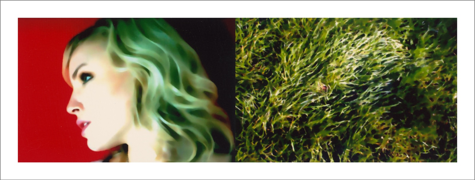 Questioning Photographic Reality - Diptychs 100 x 80 cm - 120 x 50 cm Edition of 5