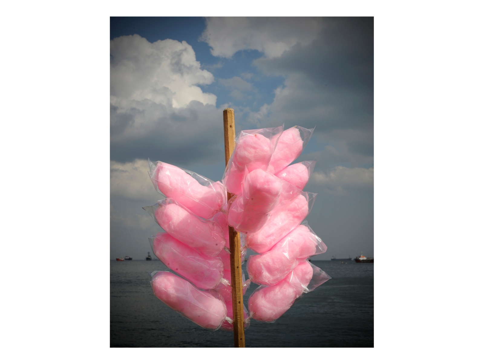 312 pp Book Project / 2010 Istanbul European Capitol of Culture