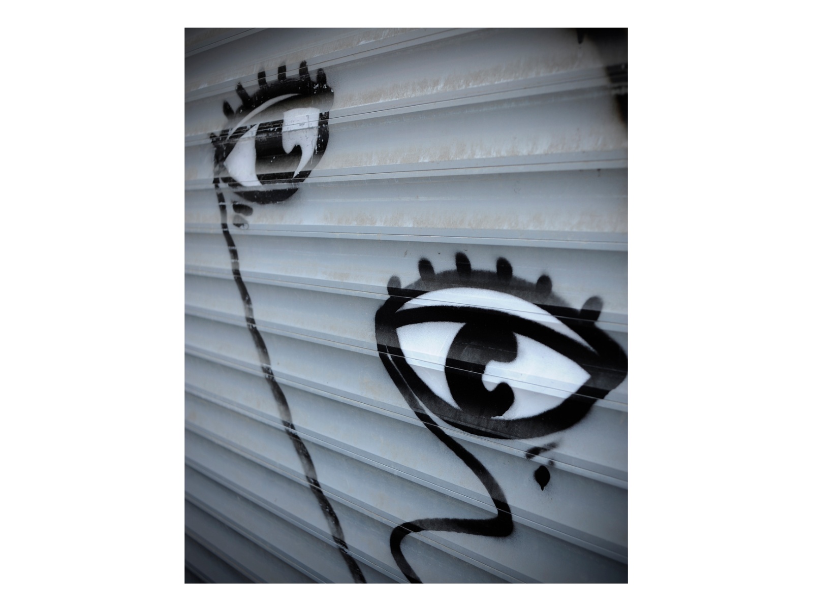 312 pp Book Project / 2010 Istanbul European Capitol of Culture