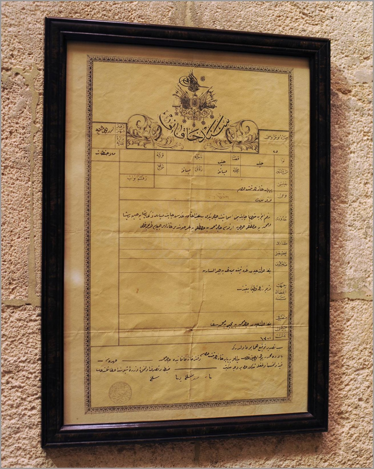 Two days damascus one day haleppo 028