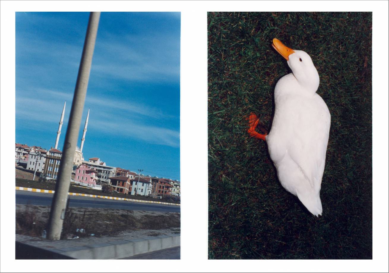 A book project for the new Millennium / 200 Pages / Print Run:1500