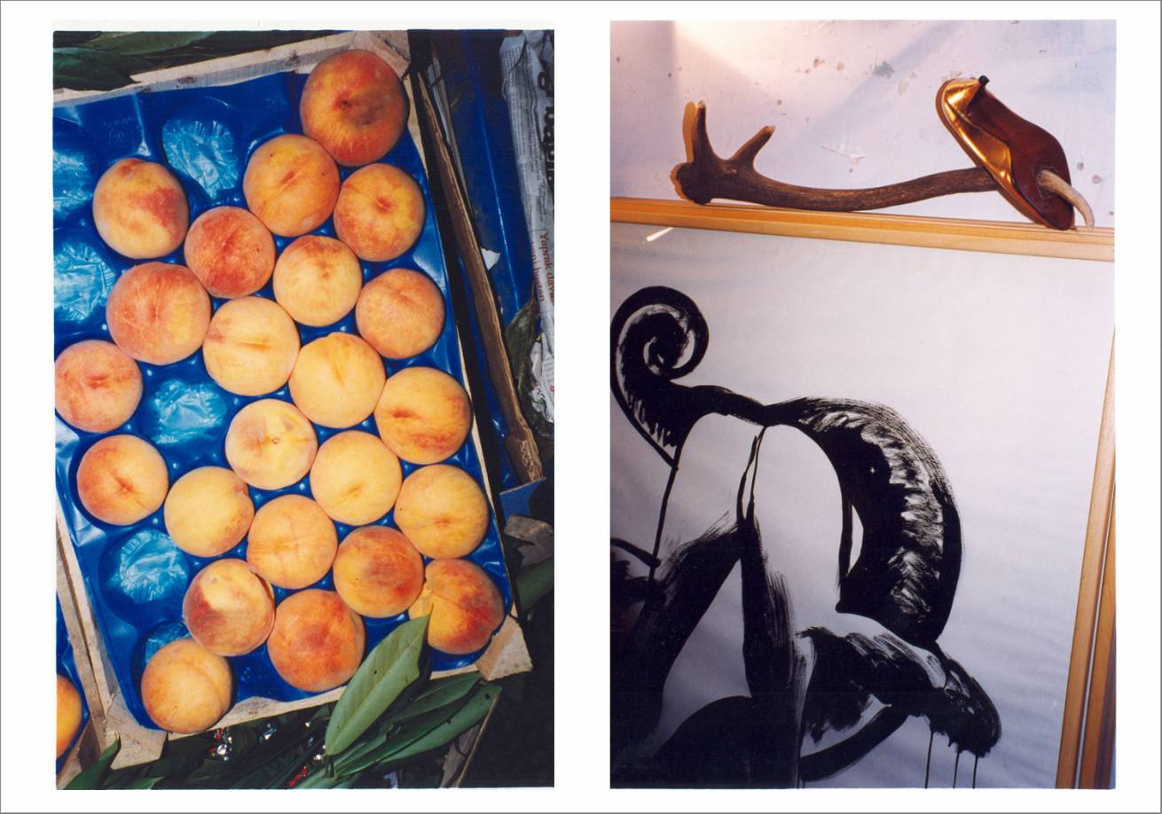 A book project for the new Millennium / 200 Pages / Print Run:1500